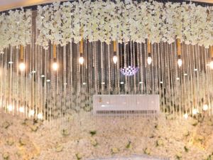 قاعة الريفيرا بني سويف - 6