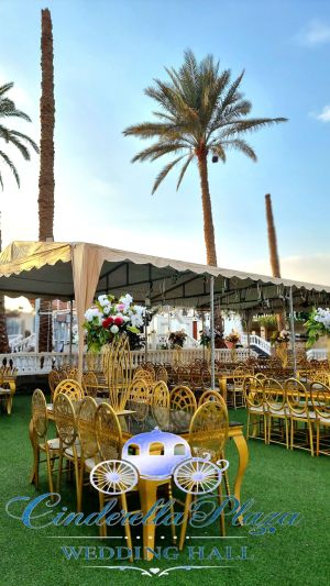 قاعه سندريلا بلازا المريوطية - 5