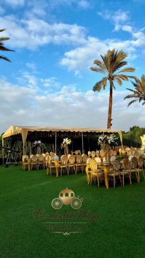 قاعه سندريلا بلازا المريوطية - 8