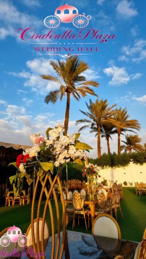 قاعه سندريلا بلازا المريوطية