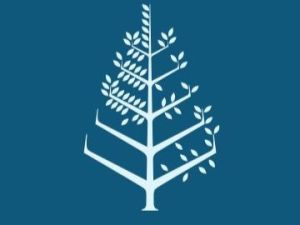 قاعات الاجتماعات فندق فور سيزونز الإسكندرية - 2