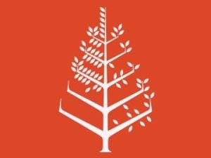 قاعة الأفراح فندق فورسيزونز ذا فيرست ريزيدنس - 7