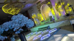 قاعة فيرجينيا للحفلات بالمنصورة - 13