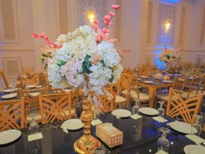 قاعة الماسة نادي سانتوس الرياضي - 5