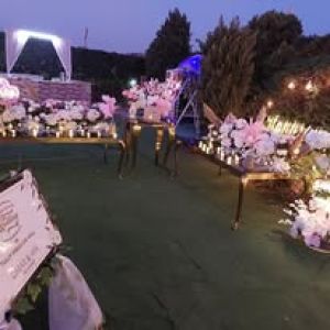 قاعة تيوليب - 19