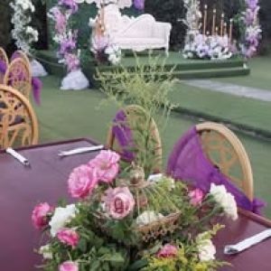 قاعة تيوليب - 4