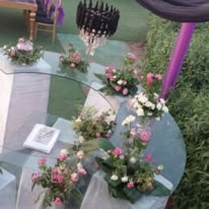 قاعة تيوليب - 23