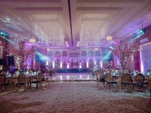 قاعة جاردينيا الاسكندرية - 6