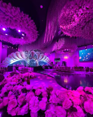 قاعة سييرا للافراح - 7