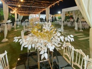 قاعه باسيليكو - 11