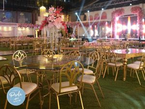 قاعه بيرلا - طنطا - 6