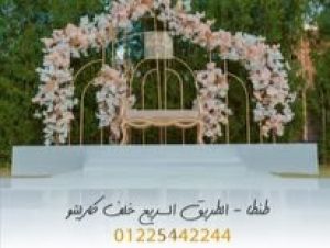 قاعه جميلة طنطا - 4