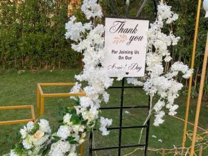 قاعه جميلة طنطا - 9