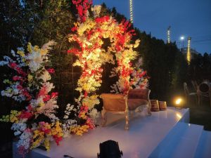 قاعه جميلة طنطا