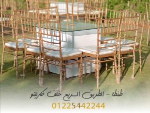 قاعه جميلة طنطا - 11