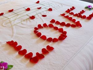 قاعة الأوبن إير الروف فندق كمبنسكي النيل القاهرة - 6