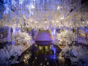 قاعة موناكو فندق تريومف لاكشري القاهرة الجديدة