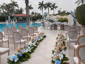 قاعة الزفاف اوبن اير فندق هيلتون الإسكندرية كينجز رانش - 14