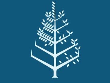 قاعات الاجتماعات فندق فور سيزونز الإسكندرية