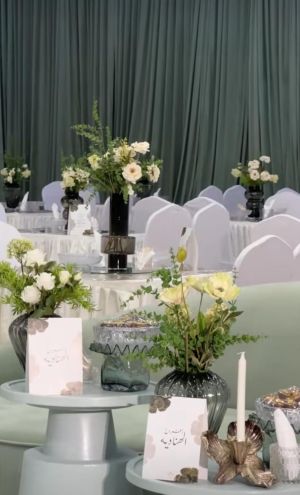 قاعة الفيصل للاحتفالات تربة - 4