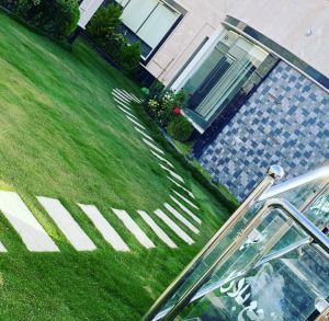 منتجع بلازا | حائل - 4