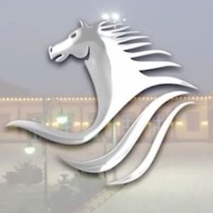 قاعة قصر الفرسان للإحتفالات نجران - 5