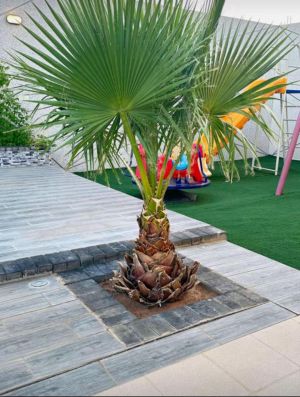 استراحة فورتي فور حائل - 5