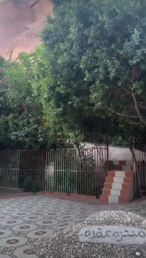 شاليه منتزه عقدة 1 و2 حائل - 2