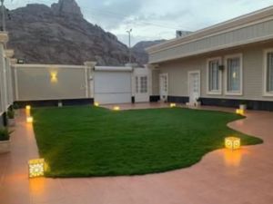 استراحة بيت ورد حائل - 11