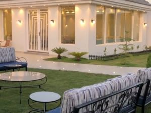 استراحه واشنطونيا حائل - 9