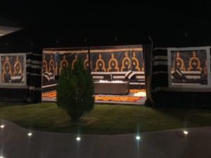 استراحه واشنطونيا حائل - 2