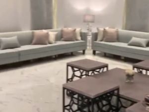 استراحه واشنطونيا حائل - 3