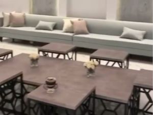 استراحه واشنطونيا حائل - 4