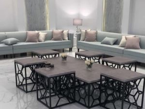 استراحه واشنطونيا حائل - 5