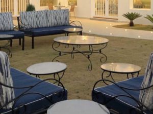 استراحه واشنطونيا حائل - 8