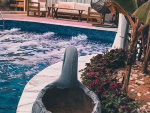 شاليه اماندا الفندقي حائل - 9