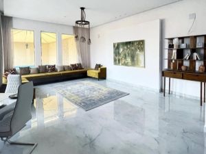 شاليه فن حائل