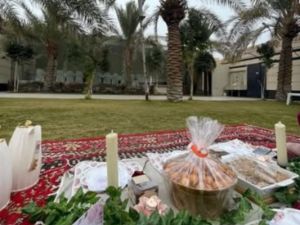 شاليه مذهله حائل - 5