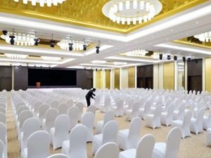 قاعة فندق راديسون بلو المنهل - 2