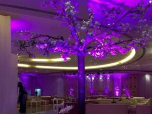 قاعة القصر الابيض قصور شهاب للأفراح والمناسبات الدمام - 4