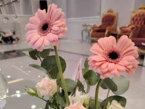 قاعة عمر للمناسبات حائل - 6