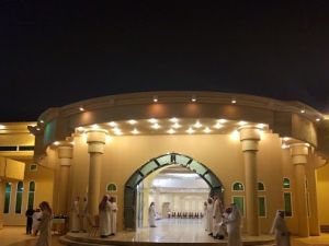 قصر فينيسيا الحائل - 7