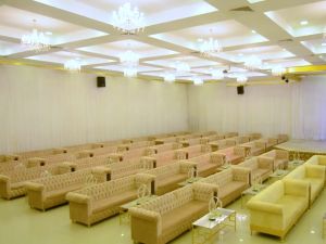 قصر اسيا حائل - 9