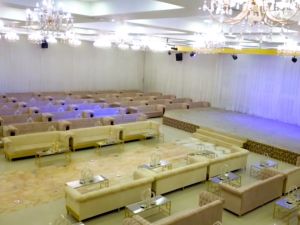 قصر اسيا حائل - 10