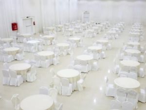 قصر اسيا حائل - 11