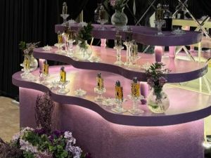 قصر اليخت للاحتفالات والمؤتمرات الرياض - 15