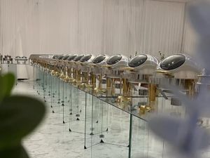 قصر ضيافة المستشار الرياض - 3