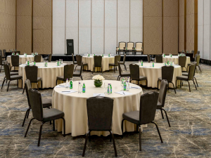 قاعات المؤتمرات فندق موفنبيك الرياض - 5