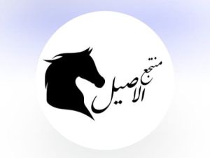 منتجع الاصيل حائل - 2