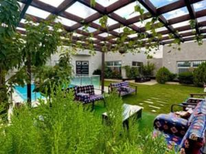 منتجع الجوهرة حائل - 3